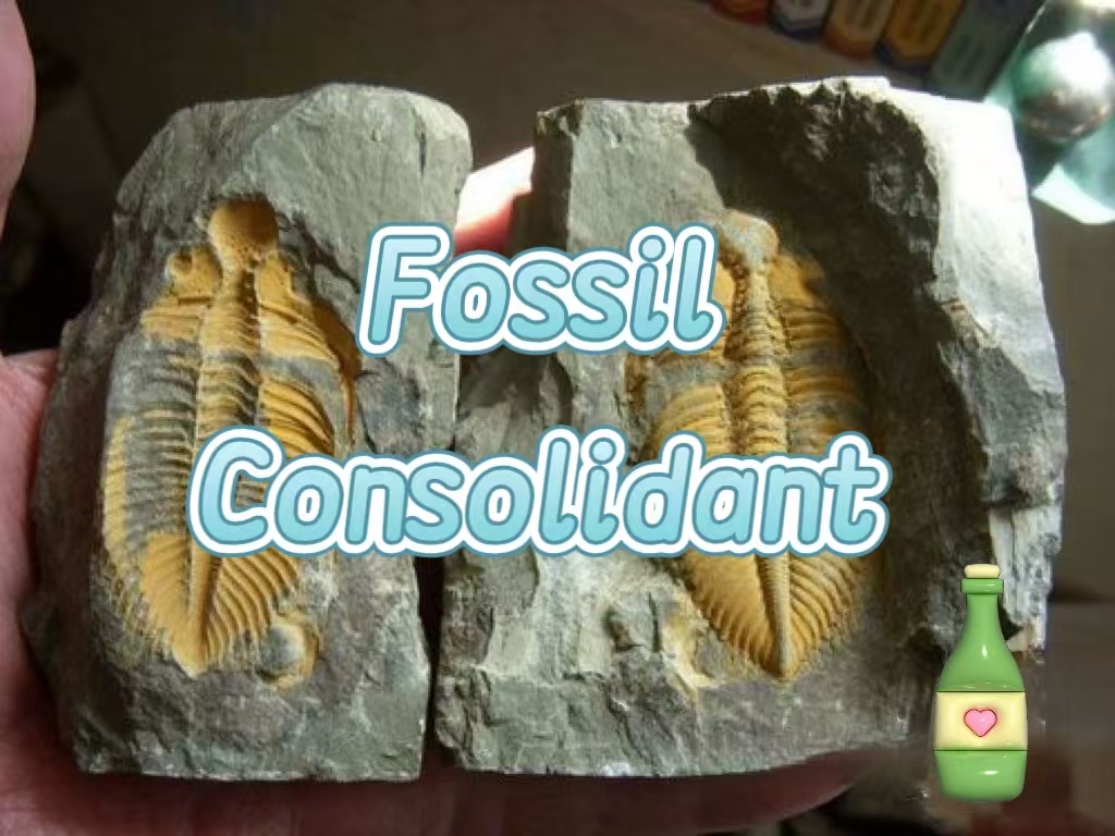 微信图片_20250616022612